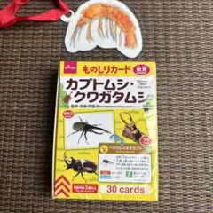 24時間以内発送 ものしりカード カブトムシ・クワガタムシ 知育玩具わダイソーのサムネイル