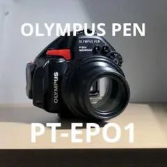 Item thumbnail for item 7a1b4ca1-5233-4d8d-9e55-433de63b129a