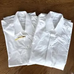 Item thumbnail for item 1226fb8a-c8b9-4bc0-a31b-12573a5ca55c