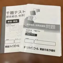 2025 東進＊千題テスト＊歴史総合 世界史探究＊問題・解答セット