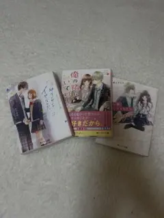 野いちご文庫恋愛小説 3冊セット