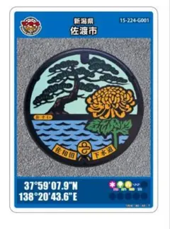 2026年最新】佐渡市マンホールカードの人気アイテム - メルカリ