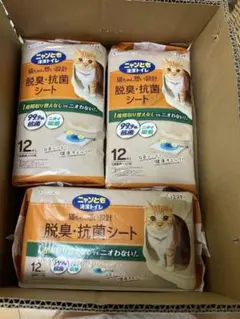 Item thumbnail for item 81b02580-0680-4c5c-b088-72f7de08e08c