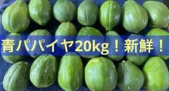 お買い得❗️青パパイヤ20kg！ - メルカリ