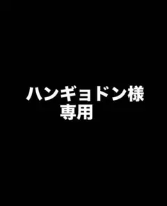 【専用出品】ハンギョドン様おまとめ買い専用