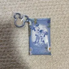 ディズニー　pvcケース