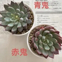 2026年最新】ミックスベリア 青鬼の人気アイテム - メルカリ