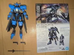 【組立て済・ライフル&手首欠品】HG ガンダムヴィダール【ジャンク】