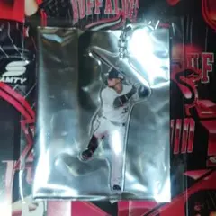 杉澤龍　コロチャレキーホルダー