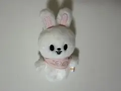 Stray Kids リービット SKZOO PLUSH 10cm