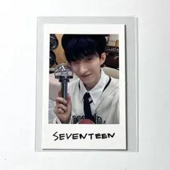 SEVENTEEN セブチ ドギョム チェキ トレカ