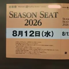 みずほPayPayドーム 2026年8月13日 駐車券 - メルカリ