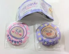 ファンシー刺繍缶バッジ　こびとづかん 　カクレモモジリ　アマクリソツ2個セット
