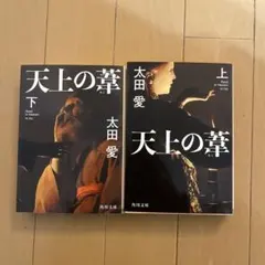 Item thumbnail for item 0412dd89-3d86-4757-b934-4836e97a3a7c