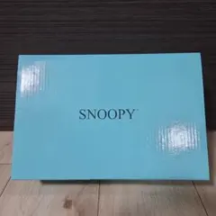 スヌーピー　ティーカップセット