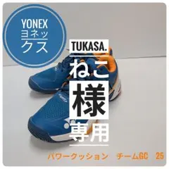 【美品】25cm ヨネックス テニスシューズ パワークッション チーム GC