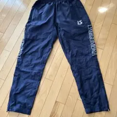 Item thumbnail for item c09f1ee6-b093-40be-ac29-8dd99e7c91e7