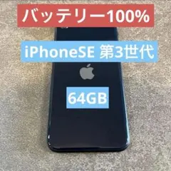 【バッテリー100%】Apple iPhoneSE3 64GB