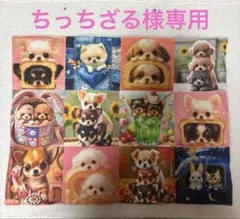 【ちっちざる様専用】ハンドメイド 6/30