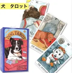 Item thumbnail for item 7df01c80-001e-4794-859a-ae9929718f8e