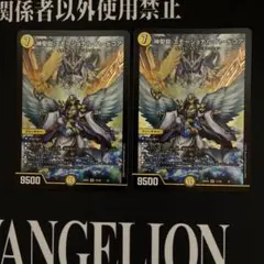 即日発送　神聖龍 エモーショナルハードコア 2枚