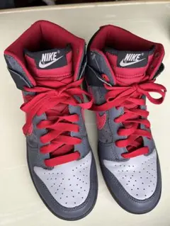 2007年 NIKE DUNK LOW CL 