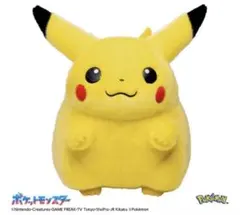 ポケモン 30周年記念 おかえり!ピカチュウ1/1