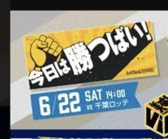 ノ*ブ様 【匿名配送】福岡ソフトバンクホークス　応援タオル