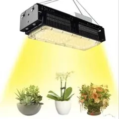 데칼 다이스케 스페셜 페이지 너처링 라이트 LED 660nm