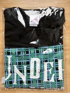 Item thumbnail for item 1425cad2-5e7e-438c-8b4b-2dc6f242f857