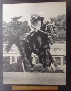 写真パネル テンポイント - メルカリ