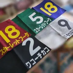 2026年最新】乗馬 ゼッケンの人気アイテム - メルカリ
