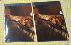 ENHYPEN 儚い　クリアファイル　ソヌ