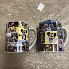 ディズニーリゾート　マグカップ　実写　ランド　シー　２個セット