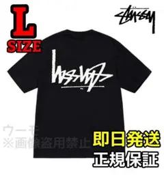 STUSSY FLIPPED TEE 逆ロゴ ステューシー Mサイズ ブラック - メルカリ