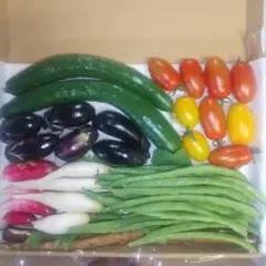 ②野菜セット(野菜詰め合わせ)のサムネイル
