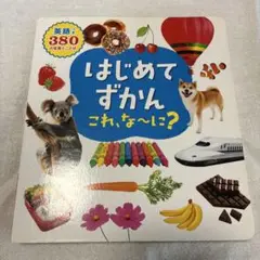 はじめてずかん これ、な～に？　英語つき
