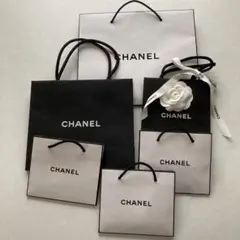 CHANEL ショップ袋 6枚セット