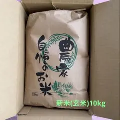 令和7年産 きぬむすめ 岡山県 県北 玄米 10kg - メルカリ