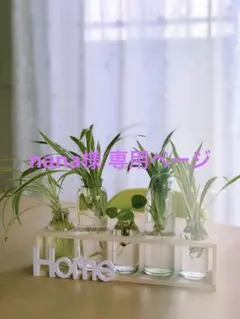 nana様 リクエスト 3点 まとめ商品