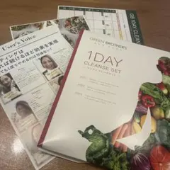 GREEN BROTHERS 1DAY CLEANSE SET 2個セット - メルカリ
