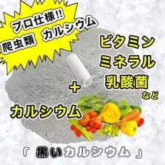 爬虫類用《カルシウム》【黒いカルシウム】