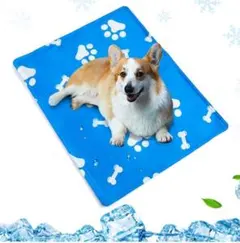 Item thumbnail for item bf5855cd-b3ea-473e-9fba-86bd8387d58e