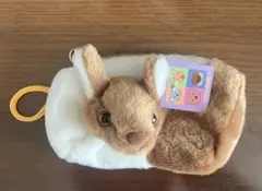 カンガルー ポーチ
