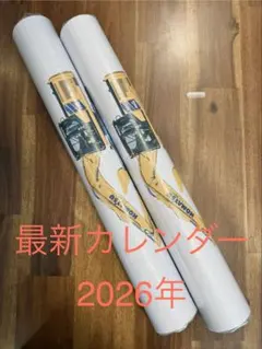 Item thumbnail for item 0aafa2f8-291e-4c79-921f-f4c22f2a826e