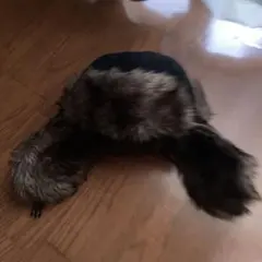 ウシャンカ帽 フライトキャップ 耳あて付きのサムネイル