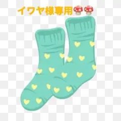 イワセ様 リクエスト 2点 まとめ商品