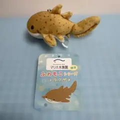 マリホ水族館 トラフザメ ふわもこシリーズ マスコット