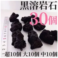 黒溶岩石 30個【超10大10中10】☆アクアリウム、テラリウム、苔リウムに最適のサムネイル