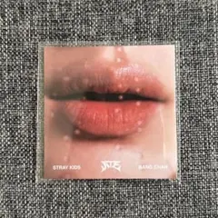 Stray Kids バンチャン ATE 唇